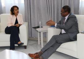 Dr. Owen Kaluwa Assumes Office as WHO Representative to Ethiopia