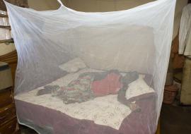 A demonstration of the use of LLIN at a PHC to mothers A household using a LLIN at her home to prevent mosquito