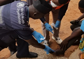 WHO staff, the local health workers collect sample (swap) from the wound for laboratory testing WHO staff, the local health workers collect sample (swap) from the wound for laboratory testing