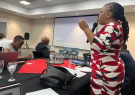 Dr Busisiwe Radebe making a presentation at the workshop Dr Busisiwe Radebe making a presentation at the workshop