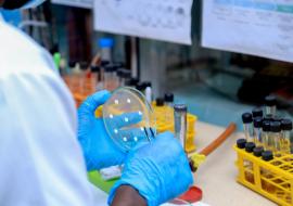 Scaling up response to anthrax outbreak in the Democratic Republic of the Congo  