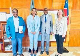 National Maternal Stillbirth and Neonatal Death Review Committee