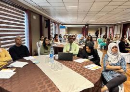 WHO strengthens Chikungunya Case Management Capacity in Mauritius