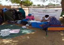  Mobile clinics enhance access to health care services in Niger