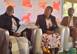 In the middle; WHO Botswana Technical Officer, Boingotlo Ramontshonyana next to PMH Superintendent Dr Machacha (right) In the middle; WHO Botswana Technical Officer, Boingotlo Ramontshonyana next to PMH Superintendent Dr Machacha (right)