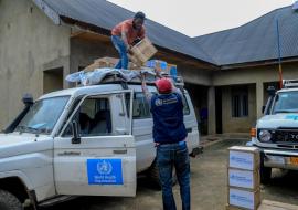 WHO actively responds to anthrax epidemic in the DRC