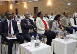 Ethiopia Takes Bold Strides on Health Taxes to Drive Universal Health Coverage