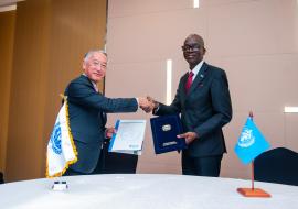 WHO Africa, International Vaccine Institute sign agreement to boost vaccine production in Africa
