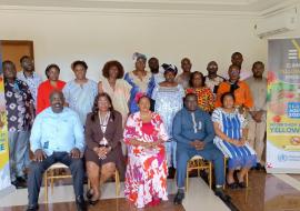 Preparing for yellow fever epidemics in urban areas: Cameroon develops its strategic plan for the next three years