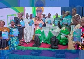 Nigeria advances nursing and midwifery reforms to strengthen health workforce