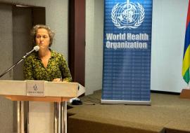 WHO supports Mauritius in advancing climate-resilient health systems: new milestone reached with validation of gap analysis and institutional framework