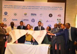 Ethiopia Launches National Action Plan for Health Security and One Health Strategic Plan