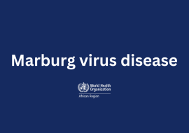 Ethiopia confirms first outbreak of Marburg virus disease