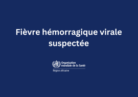 L’Ethiopie signale une épidémie suspecte de fièvre hémorragique virale