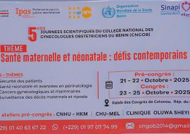 Santé maternelle et néonatale : les gynécologues du Bénin unis face aux défis contemporains