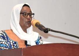 Dr Hissani Abdou Bacar parlant au nom de la Représentante de l'OMS