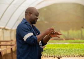 Sowing seeds of change: Supporting farmers to grow beyond tobacco