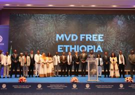 Ethiopia declares end of first-ever Marburg virus disease outbreak