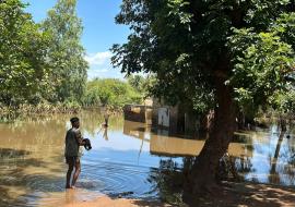 Cheias na África Austral: OMS reforça resposta de emergência em Moçambique para prevenir surtos e garantir serviços de saúde essenciais