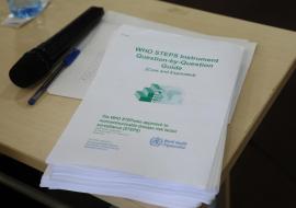 The WHO STEPS survey helps Zambia track trends, identify priority risk factors, and measure progress towards national and global health targets