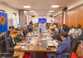 Delegates at the Ambassadorial Health Diplomacy Roundtable