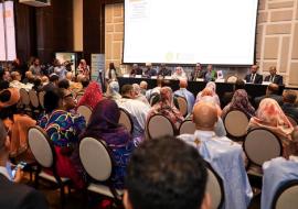 Validation politique de la première Stratégie nationale intégrée de lutte contre les dermatoses en Mauritanie