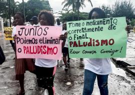 participantes 
