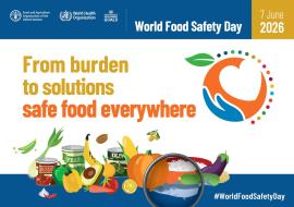 World Food Safety Day 2026 poster: safe food everywhere campaign theme.