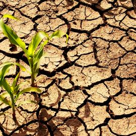 factfiles_climate_6