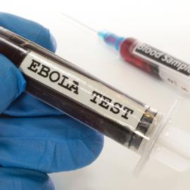 ebola virus
