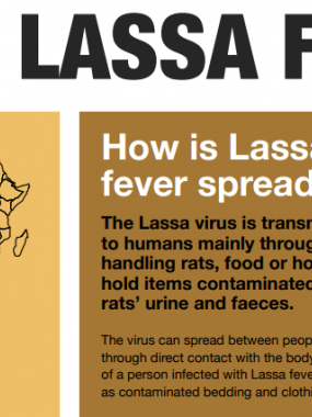Lassa fever infographics