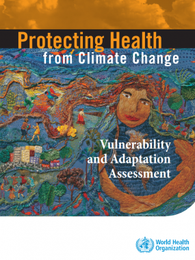 Protecting health from climate change: vulnerability and adaptation assessment