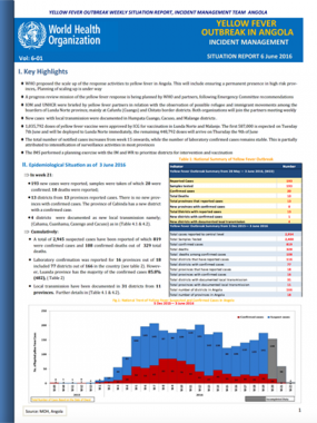 Situation Report: Yellow fever outbreak in Angola