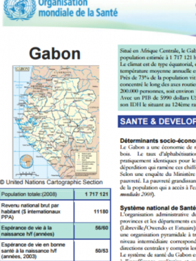 Gabon Who Regional Office For Africa