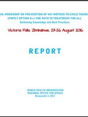 Report - Regional Workshop on prevention of HIV PMTCT Option B 