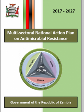 Multi-sectoral National Action Plan on Antimicrobial Resistance 2017-2027