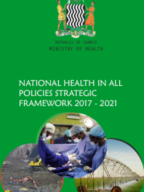 National Health in All Policies Strategic Framework 2017-20121