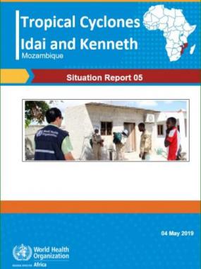 Mozambique Situation Report 5 cover