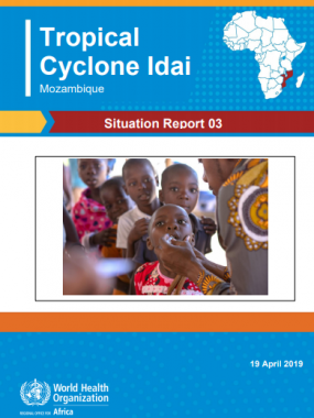 Cyclone Idai Mozambique Situation Report