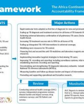 The Africa Continental End TB Accountability Framework for Action