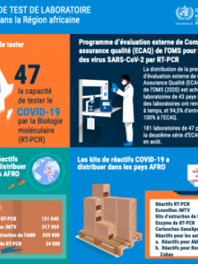 Capacité de test de laboratoire COVID-19 dans la Région africaine