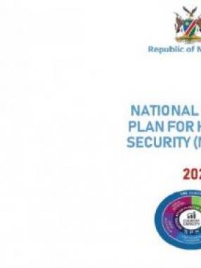 National  Action Plan for Health Security (NAPS)