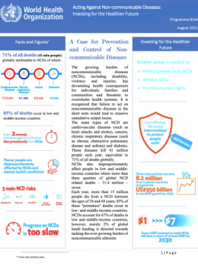 Acting Against Non-communicable Diseases in South Africa: Investing for the Healthier Future