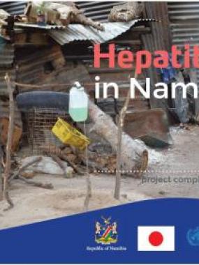 Hepatitis E in Namibia: Project Completion report 