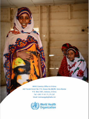 WHO Eritrea 2022 Annual Report 
