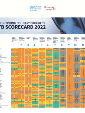 TB Scorecard 2022 - Monitoring country progress 