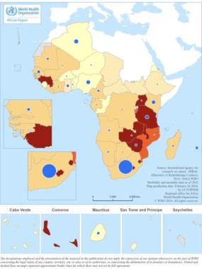 Cervical cancer incidence and mortality with charts