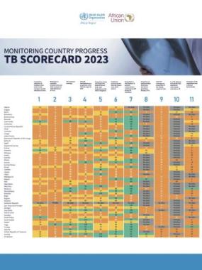 TB scorecard 2023 - monitoring country progress
