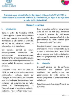 Première revue trimestrielle des données de lutte contre le VIH/IST/HV, la Tuberculose et le paludisme au Bénin, au Burkina Faso, au Niger et au Togo dans le cadre de l’initiative BBNT