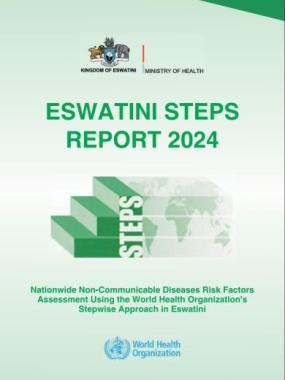STEPS SURVEY 2024